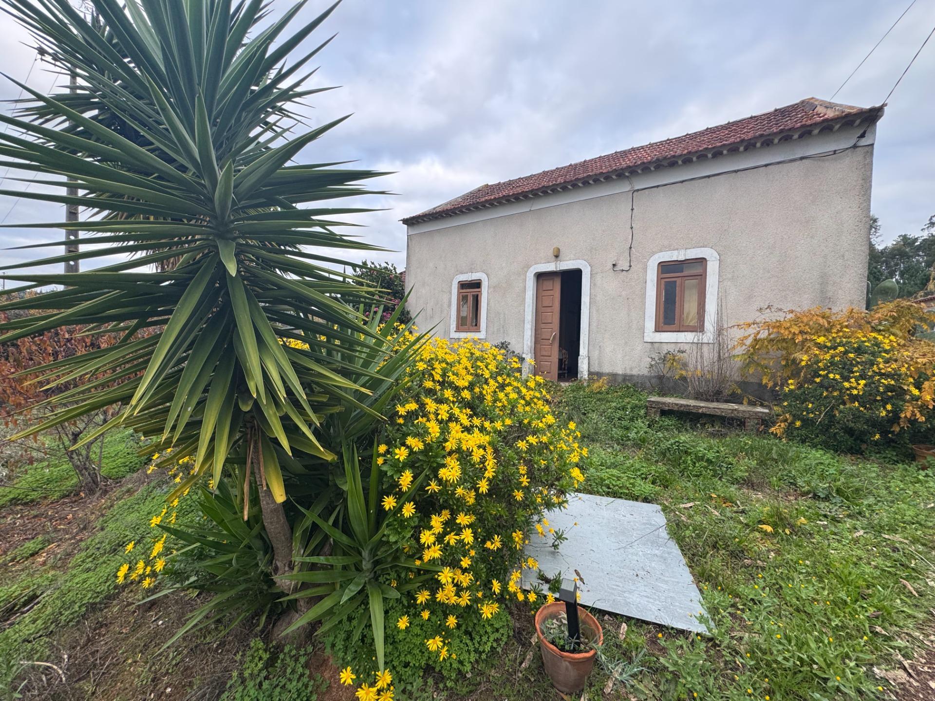 Casa de campo